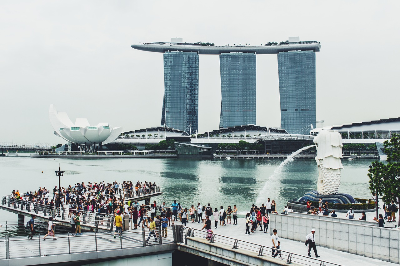 抚宁紫金湾最新楼价概览，市场走势与购房指南
