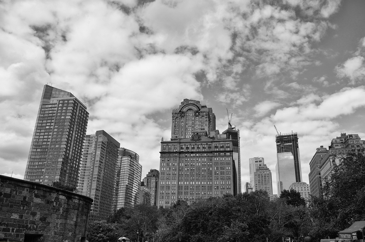 苏博楼企最新动态深度解析